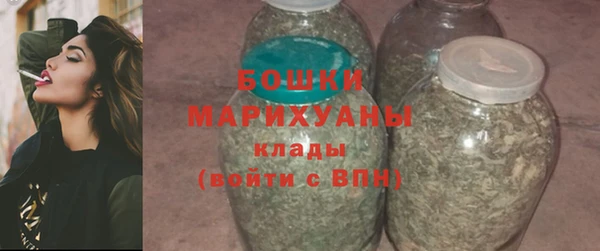хмурый Белая Холуница