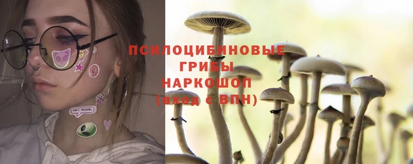 тгк Заводоуковск
