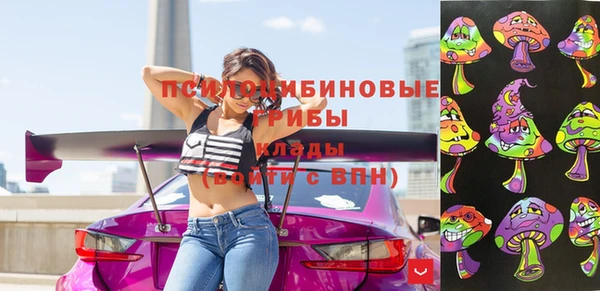 тгк Заводоуковск