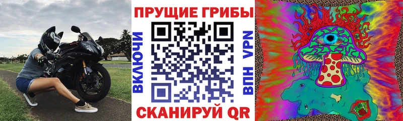 Галлюциногенные грибы MAGIC MUSHROOMS  Карабаново 